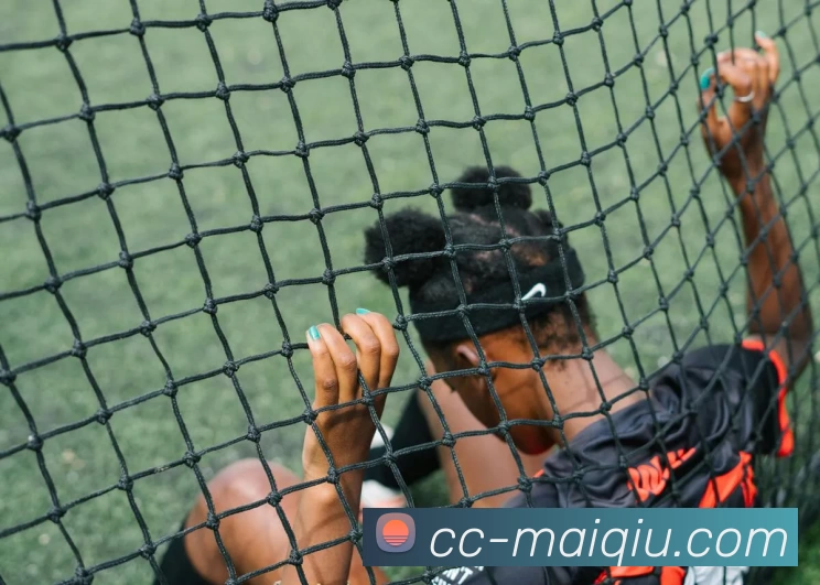 足球赛事分析服务体系